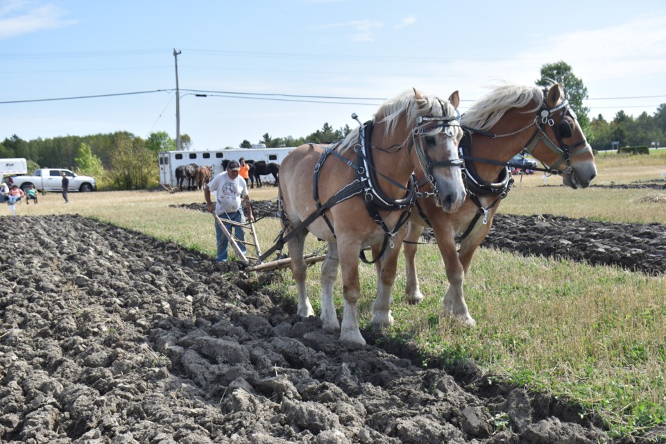 The 2019 International Plowing Match and Rural Expo kicked off on Sept. 17 and will continue until Sept. 21